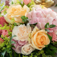 Inger Johanne Nilsen