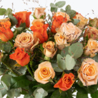 Reidun Synnøve Ohrstrand